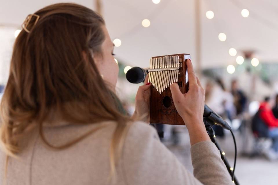 Kalimba