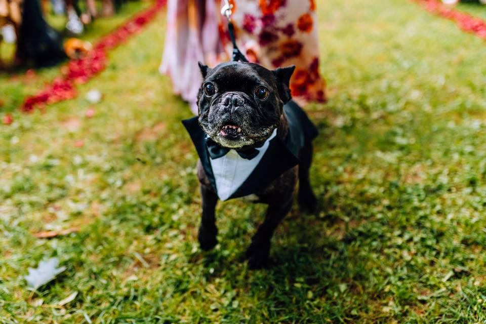 Reportage Mariage