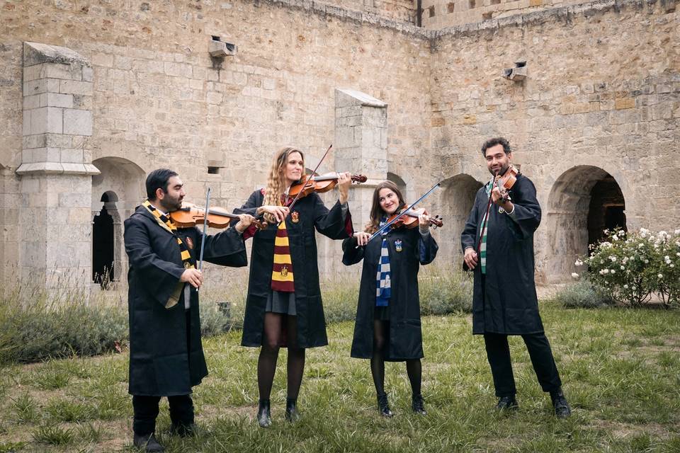 Concert Harry Potter