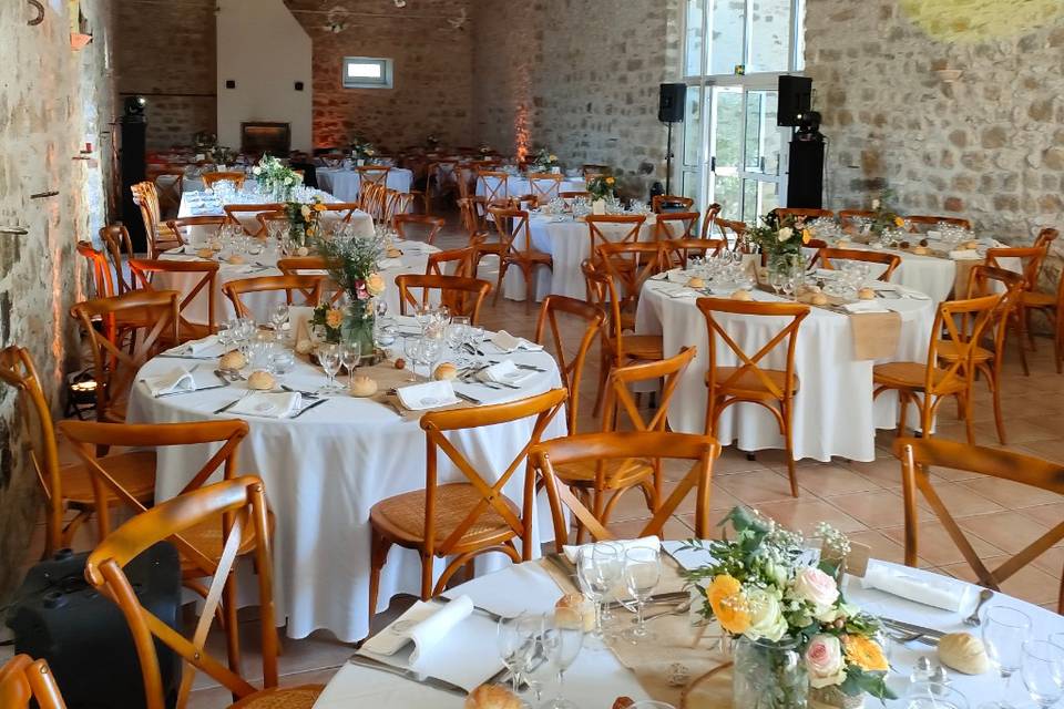 Stellina Events