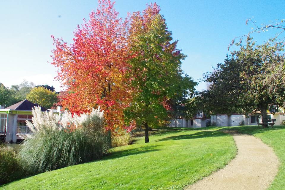 Parc automne