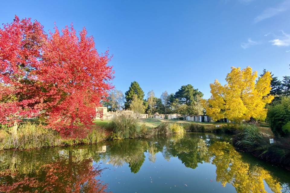 Parc automne