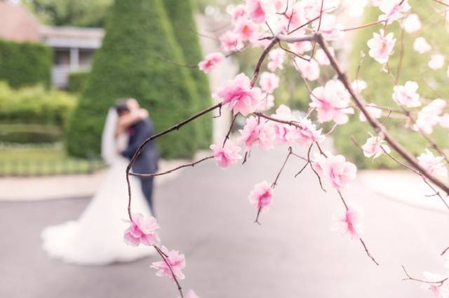 L'amour fleurit