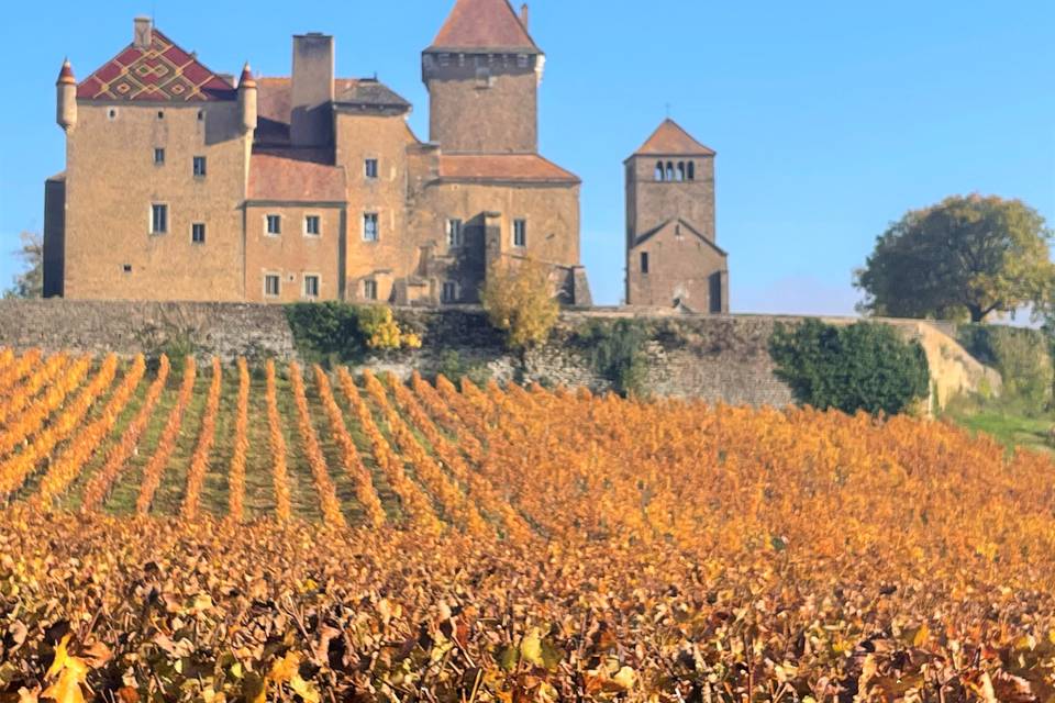 Château de Pierreclos