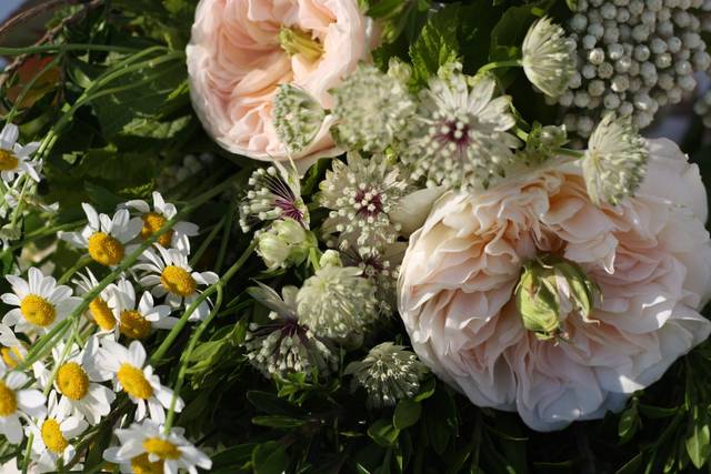 Flower Power