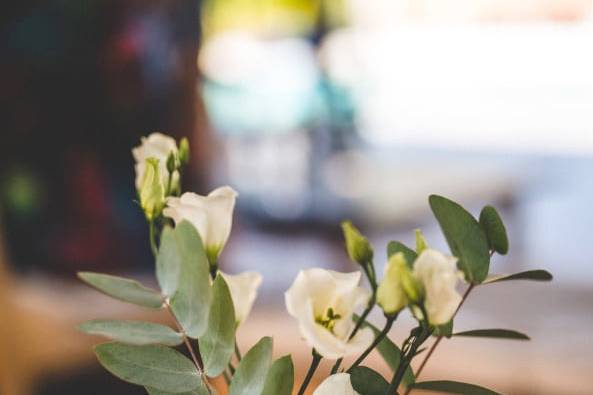 De l'amour et des Fleurs