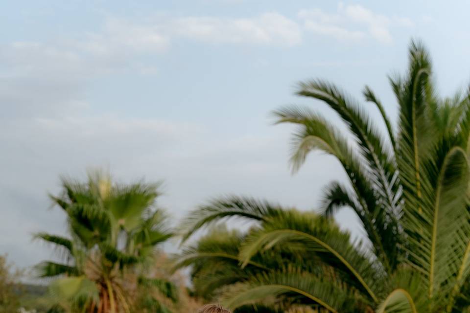Fée d'Organisation