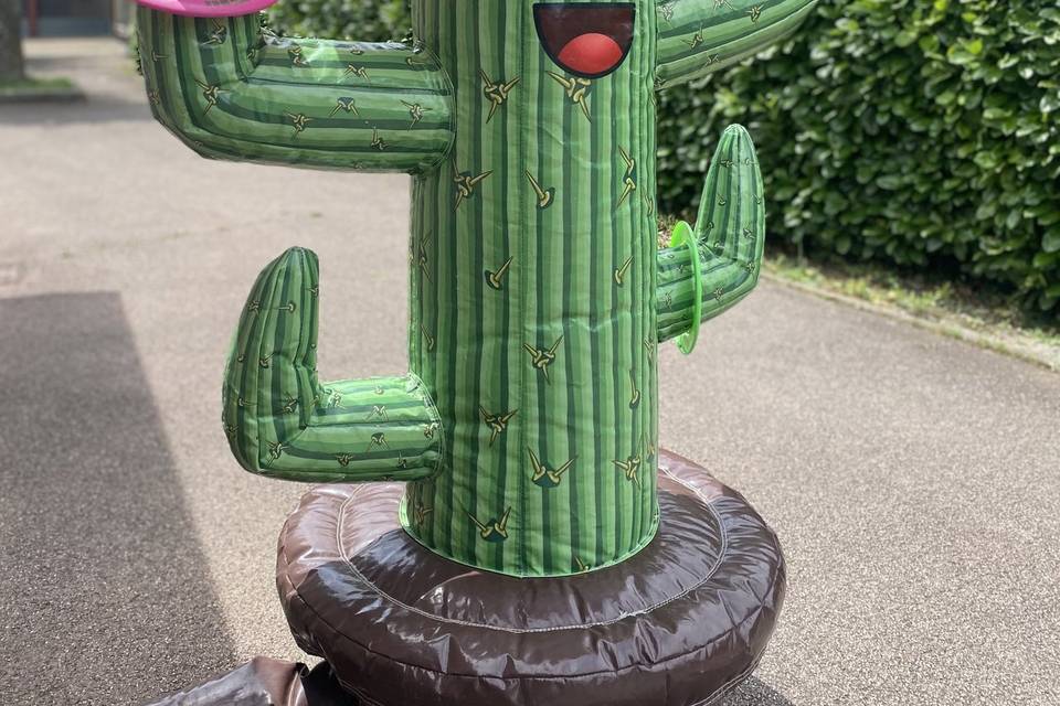 Cactus anneaux