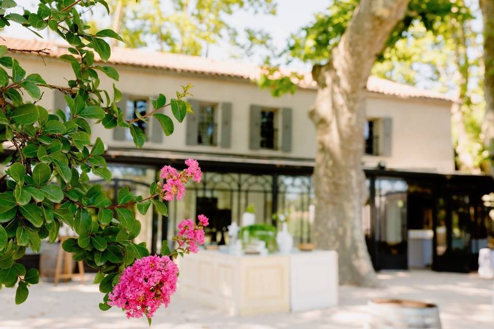 Domaine de la Baratonne