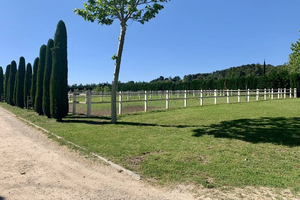 Paddocks chevaux