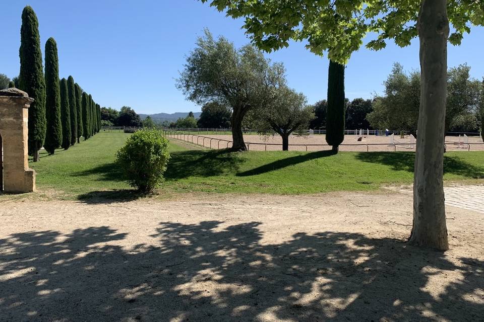 Domaine