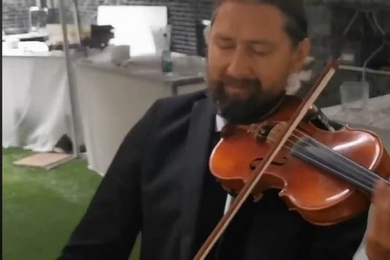 Violoniste cocktail