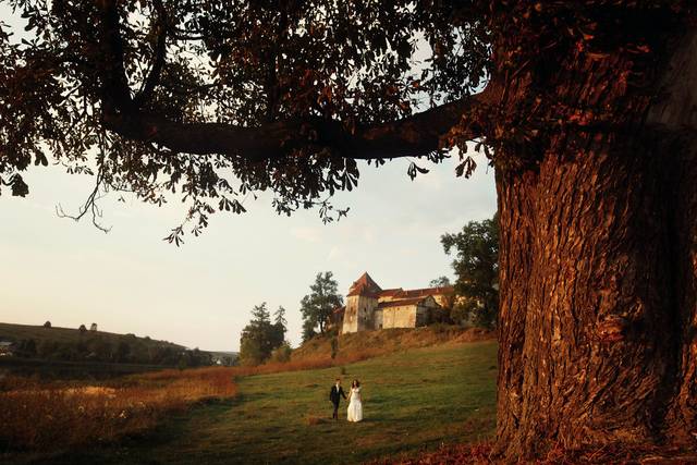 Photo3
