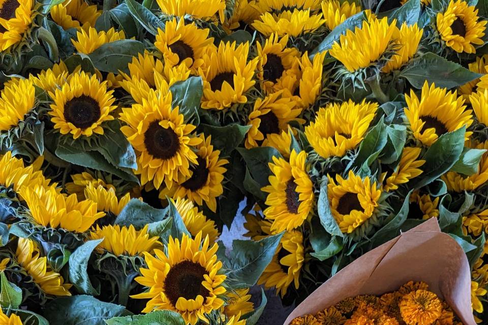 Fleurs locales