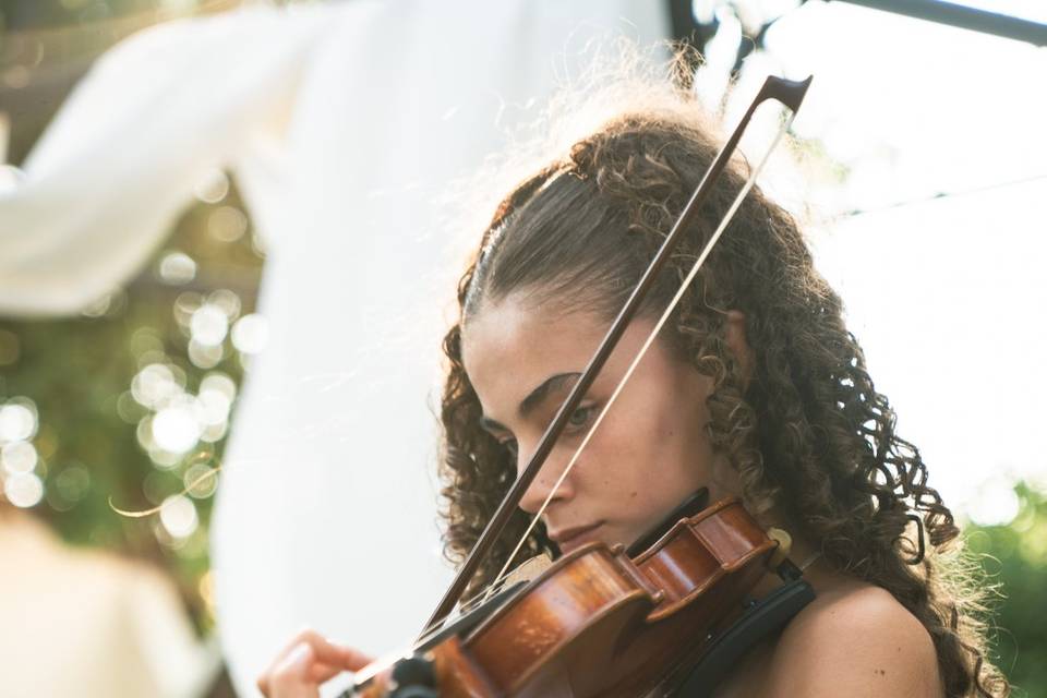 Un violon d’une invitée