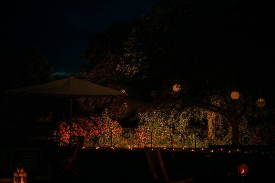 Les roses, la nuit !