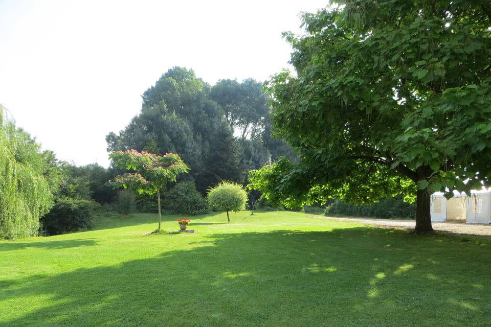 Parc pelouse