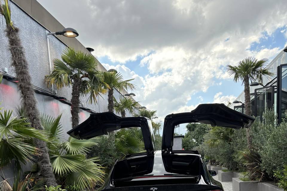 Portes Falcon Wing ouvertes