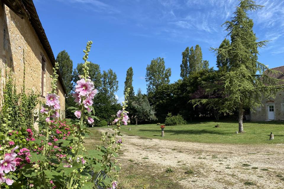 Le jardin arboré