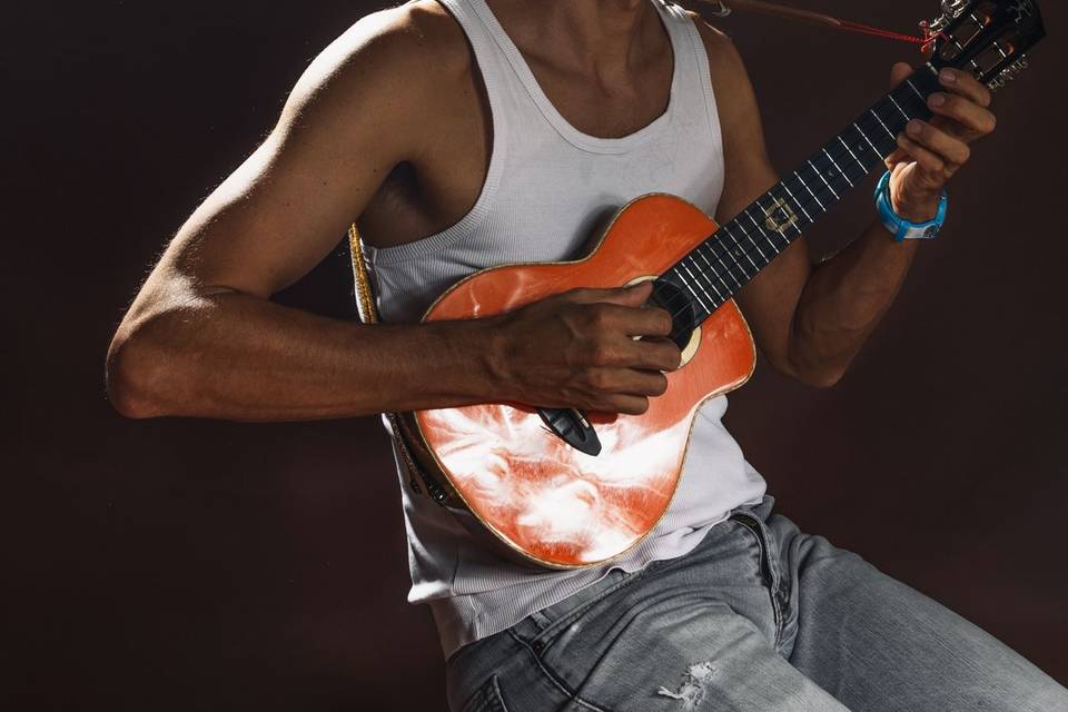 Le ukulélé