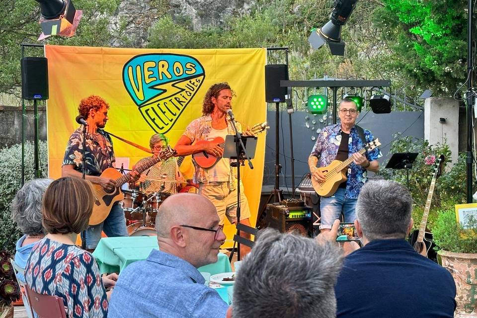 Les Veros Electriques