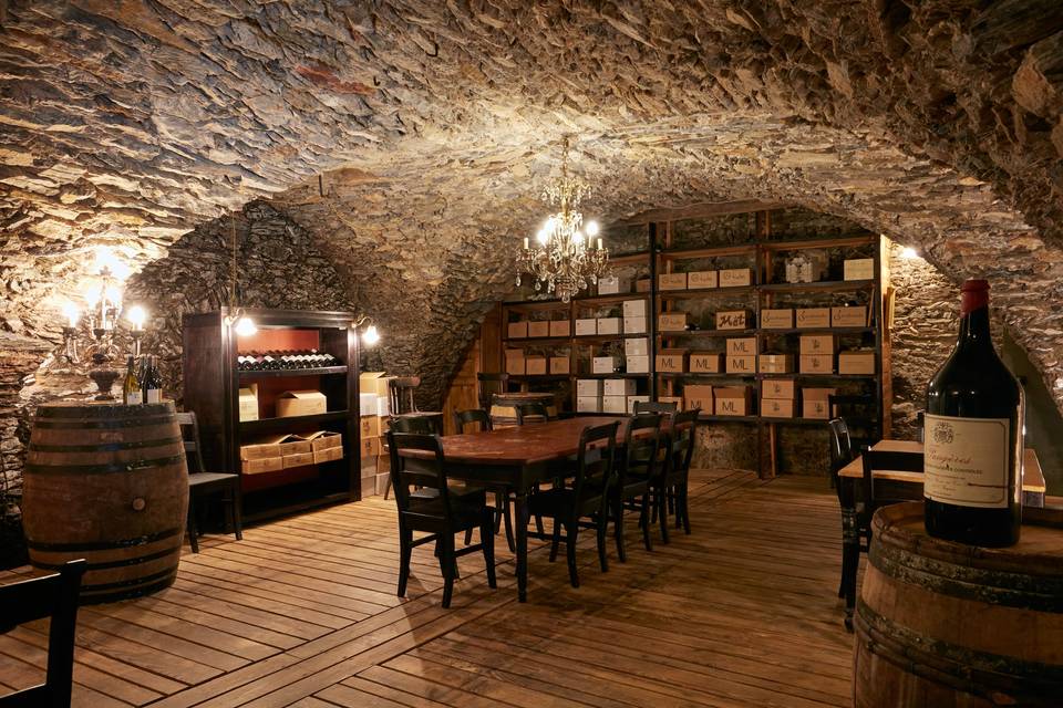 Cave a vins dégustations