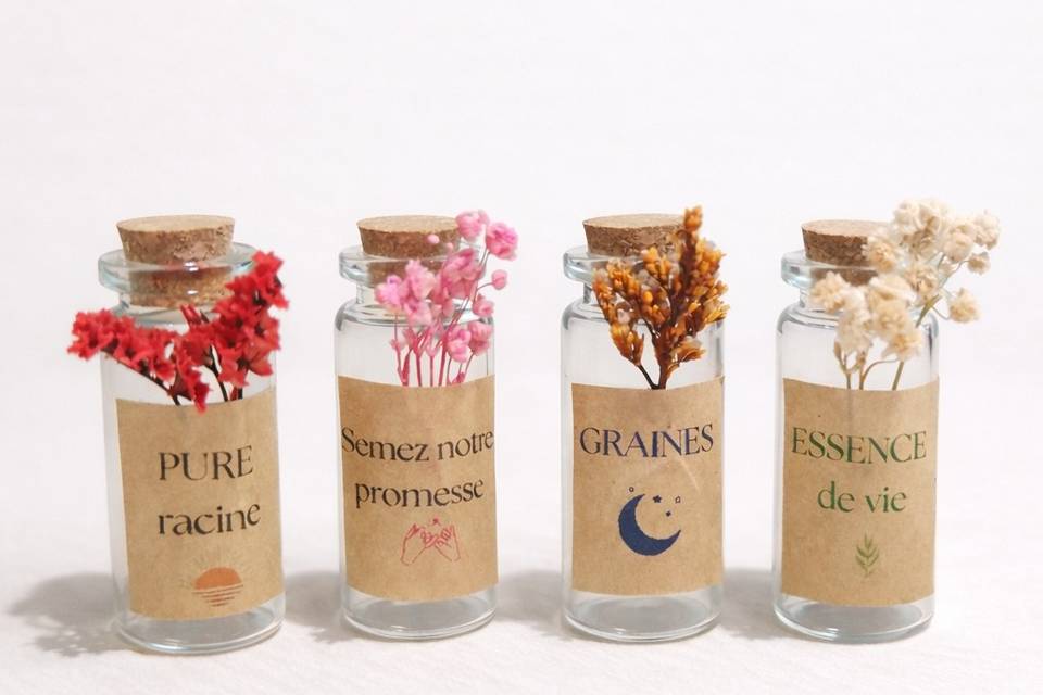 Graines à semer