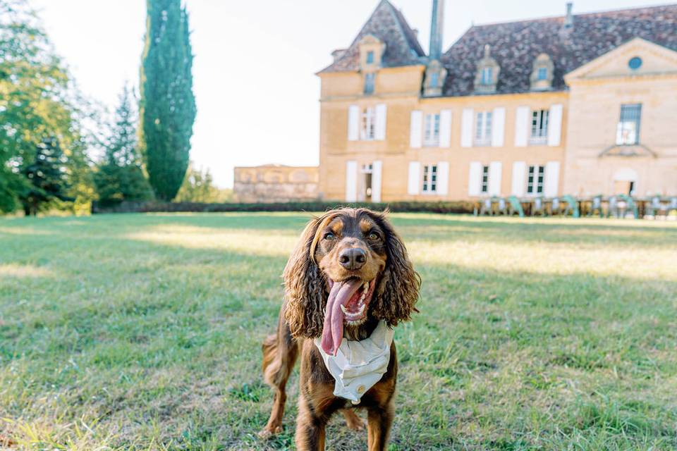 Chateau de Sainte Croix