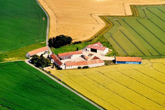 Domaine Les Aulnois