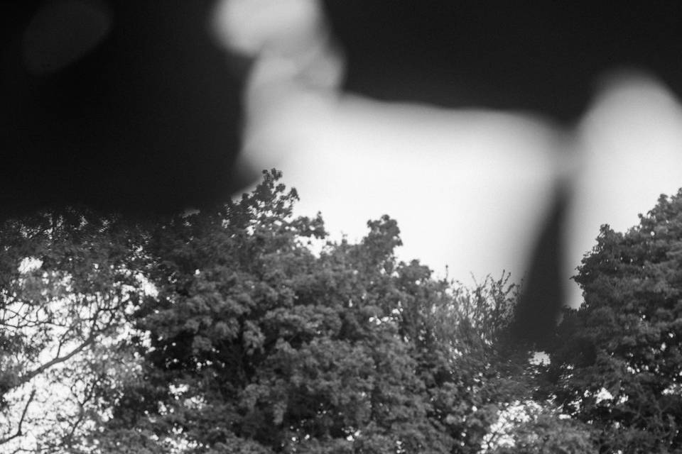 Séance photo des mariés