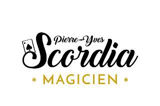 Pierre-Yves Scordia - Magicien