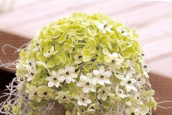 Bouquet de Mariée