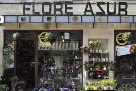 Flore Azur
