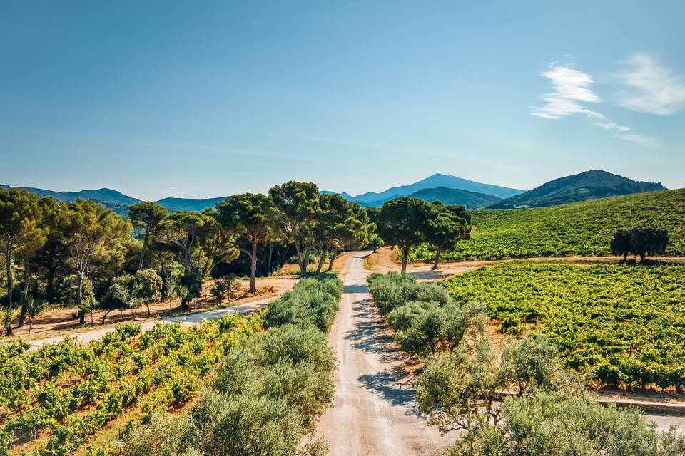 Arrivée au Domaine