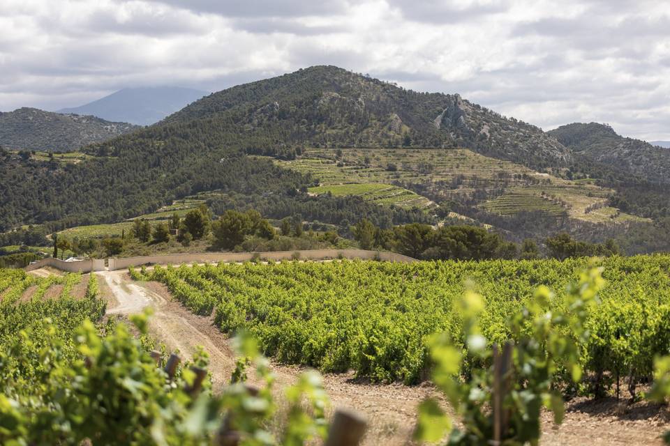 Paysage