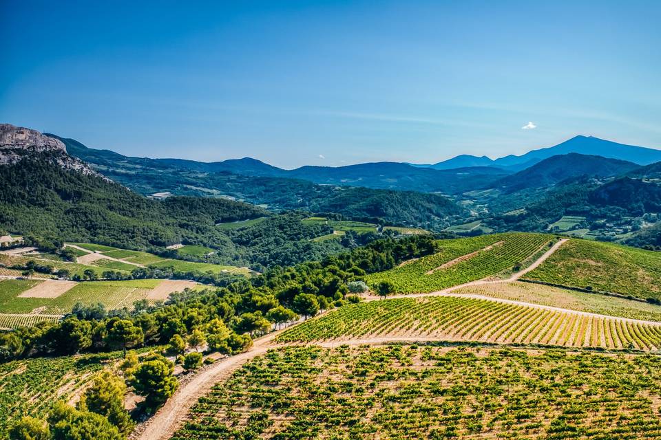 Paysage environnant
