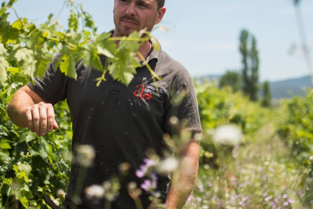 Domaine de l'Allamande