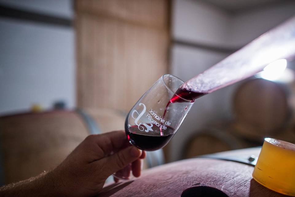 Domaine de l'Allamande
