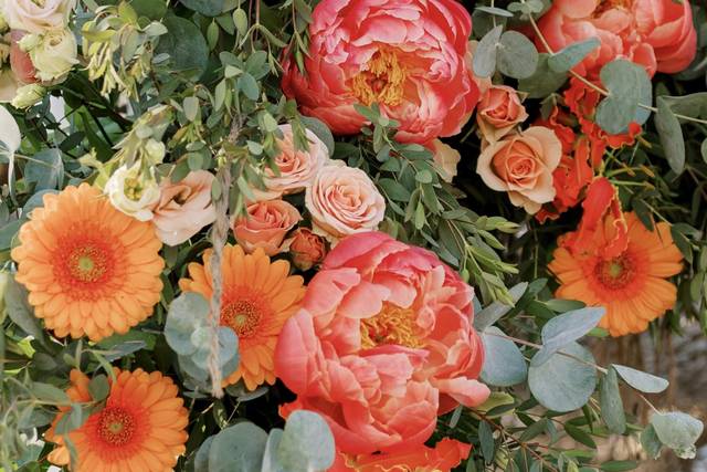 Poppy d'amour