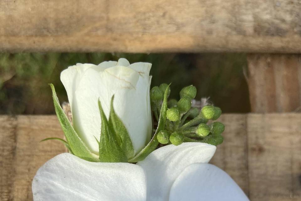 Boutonnière marié