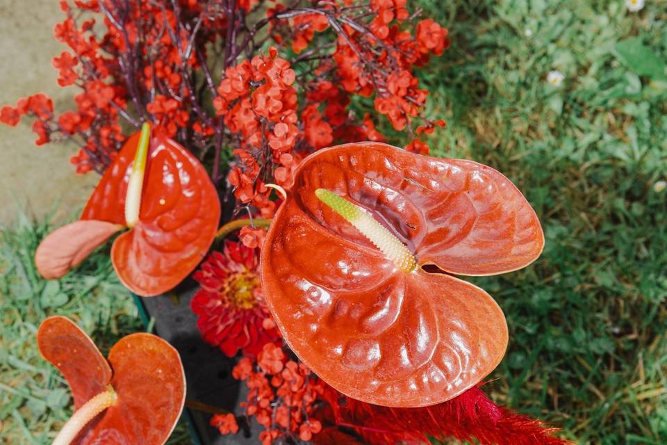 Détails floraux