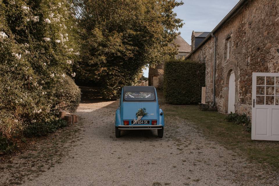 © cécile schumann