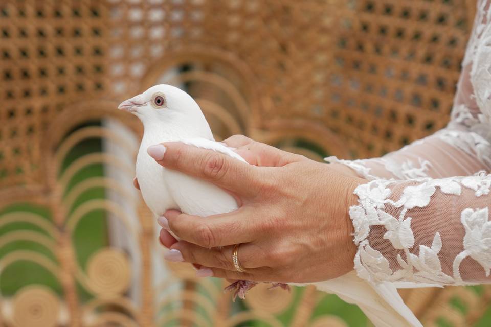 Symbole de l'amour
