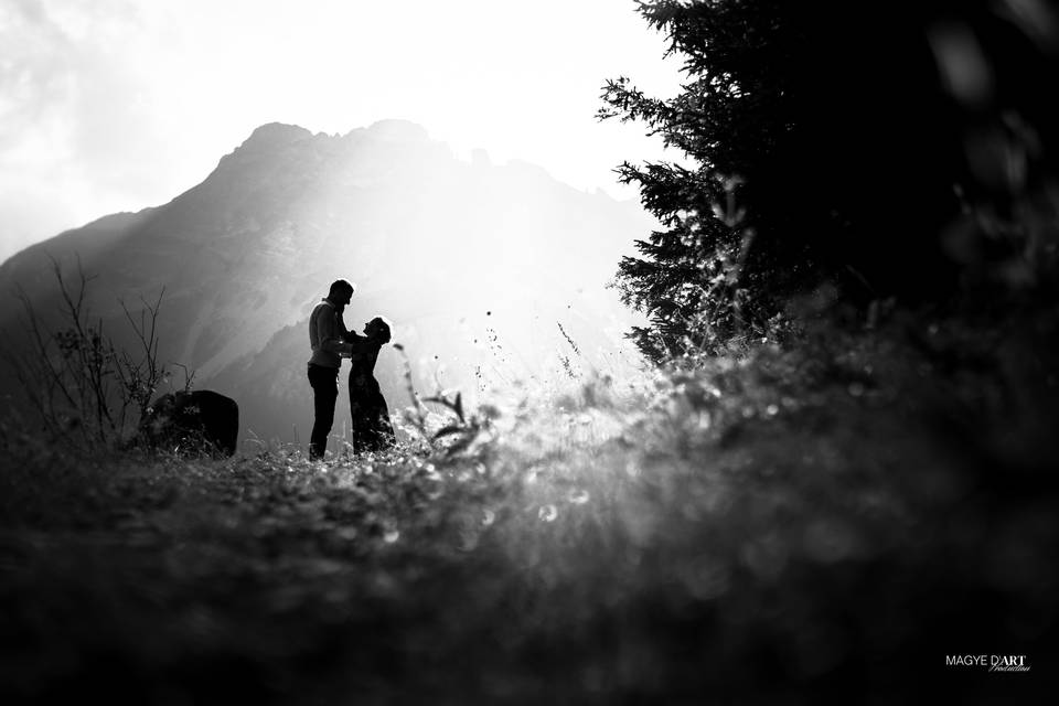Contre-jour
