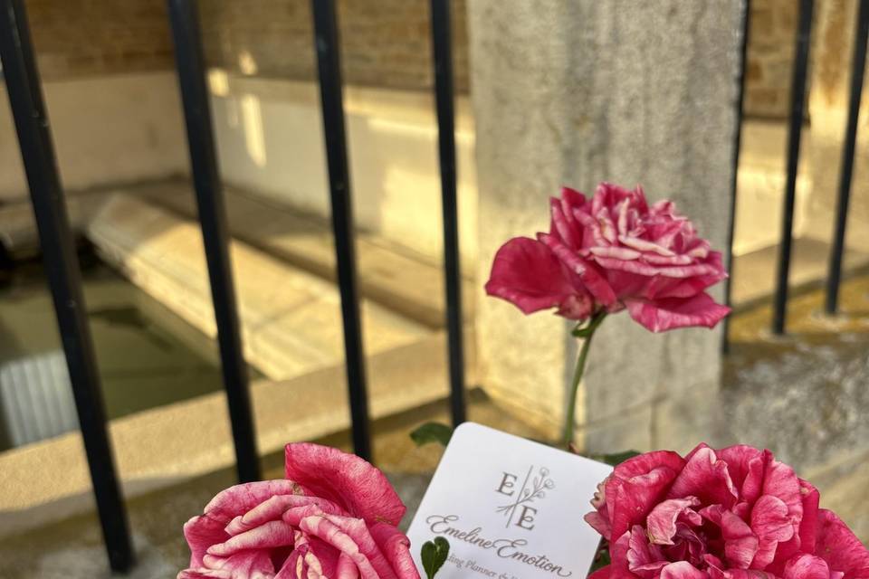 La rose au lavoir