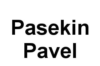 Pasekin Pavel logo