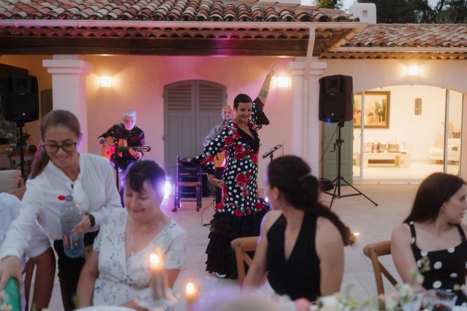 Sangre Flamenca