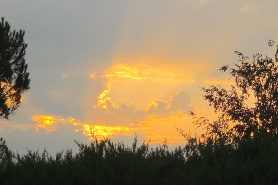 Couché de soleil