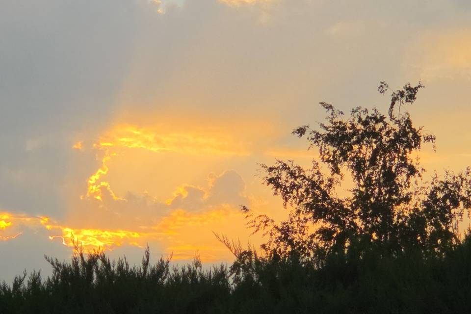 Couché de soleil