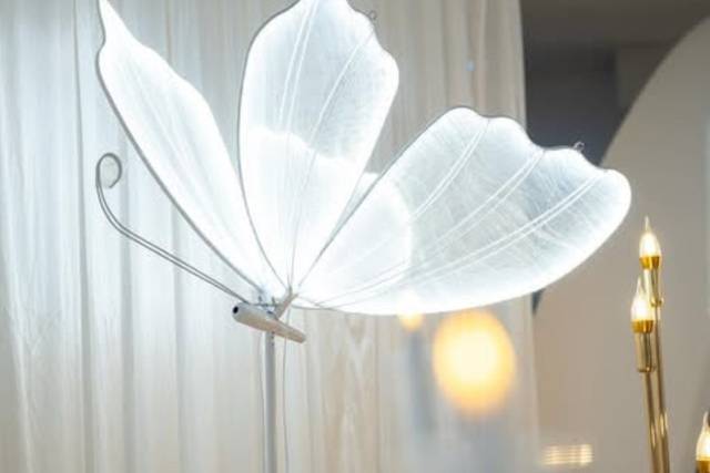 Un papillon de clarté.